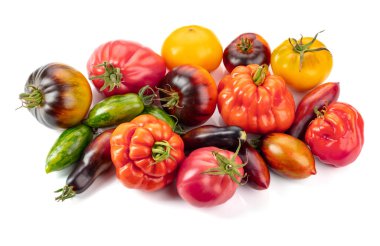 Beyaz arka planda izole edilmiş farklı domates çeşitleri.