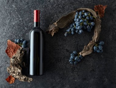 Bir şişe kırmızı şarap, mavi üzüm ve siyah taşlı arka planda eski asma parçaları. Üst Manzara. Boşluğu kopyala.