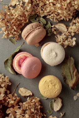 Kurumuş çiçekli lezzetli renkli badem kurabiyeleri. Üst görünüm.