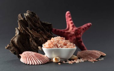 Pembe Himalaya tuzu, siyah arka planda pürüzler ve deniz kabukları. Boşluğu kopyala.