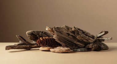 Bej bir arka planda taşlardan ve kuru pürüzlerden oluşan soyut doğa sahnesi. Boşluğu kopyala.