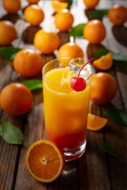 Klasik tekila gündoğumu kokteyli, portakal suyu ve nar şurubunun katmanlı renkleri, bir şişe maraska şişi ile süslenmiş..