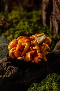 Siyah bir kasede ev yapımı ballı mantar turşusu. Ormanda salamura edilmiş mantarlar.