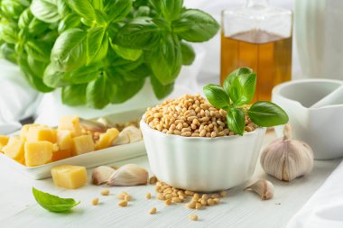 Pesto sosu yapmak için gerekli malzemeler. Fesleğen, çam fıstığı, sarımsak, parmesan ve beyaz ahşap bir masada zeytin yağı. Geleneksel İtalyan pesto tarifi.