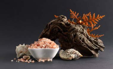 Pembe himalaya tuzu, pürüzler, eşkıya dalları ve deniz kabukları. Himalaya tuzu siyah arka planda beyaz kasede. Boşluğu kopyala.