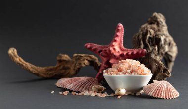 Pembe Himalaya tuzu, siyah arka planda pürüzler ve deniz kabukları. Boşluğu kopyala.