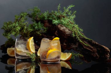 Siyah yansıtıcı arka planda buzlu ve limonlu kokteyl cin toniği. Eski engeller ve ardıç dallarıyla buzlu içecek..