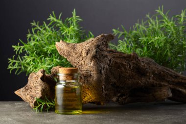 Biberiye yağı ve taştan arka planda eski bir çıkıntı olan taze biberiye. Boşluğu kopyala.