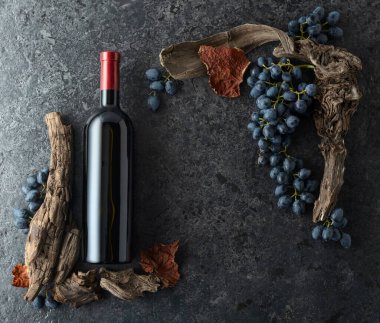Bir şişe kırmızı şarap, mavi üzüm ve siyah taşlı arka planda eski asma parçaları. Üst Manzara. Boşluğu kopyala.