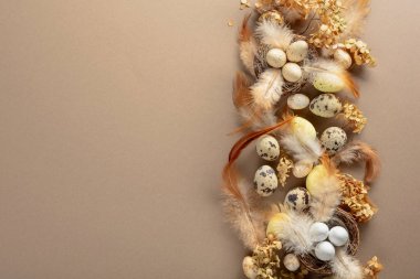 Paskalya kompozisyonu bıldırcın yumurtaları, tüyler ve bej arka planda kurutulmuş çiçekler. Üst görünüm.