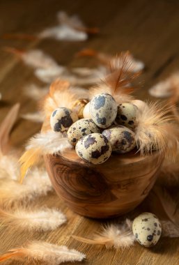 Eski ahşap bir masada bıldırcın yumurtası ve tüyleri..
