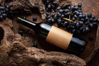 Bir şişe kırmızı şarap, mavi üzümler ve yıpranmış eski parçalar. Eski boş bir şişede. Metninizi etikete yerleştirin.