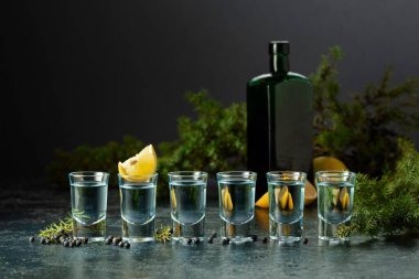 Cin ve ardıç dalları eski koyu mavi bir masada. Ardıç meyveli cin, limon dilimleri ve klasik şişe..