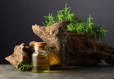 Biberiye yağı ve taştan arka planda eski bir çıkıntı olan taze biberiye. Boşluğu kopyala.