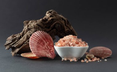 Pembe Himalaya tuzu, siyah arka planda pürüzler ve deniz kabukları. Boşluğu kopyala.