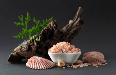 Pembe himalaya tuzu, pürüzlü yeşil thuja dalları ve deniz kabukları. Himalaya tuzu siyah arka planda beyaz kasede. Boşluğu kopyala.