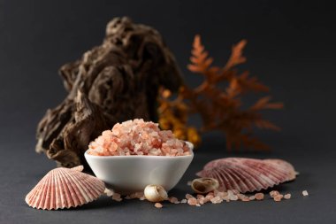 Pembe himalaya tuzu, pürüzler, eşkıya dalları ve deniz kabukları. Himalaya tuzu siyah arka planda beyaz kasede. Boşluğu kopyala.