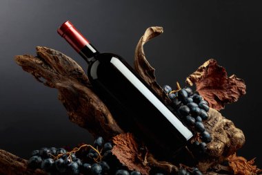 Üzümlü bir şişe kırmızı şarap ve eski ahşap parçalarında kurumuş asma yaprakları. Pahalı şarap üretimi kavramı. Boşluğu kopyala.