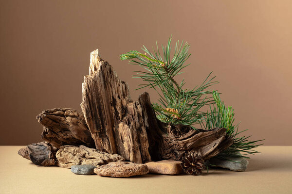 Abstract nature scene with a composition of pine branches, stones, and dry snags. Beige background for cosmetics, beauty product branding, identity, and packaging. Copy space.
