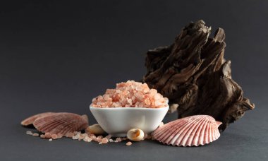 Pembe Himalaya tuzu, siyah arka planda pürüzler ve deniz kabukları. Boşluğu kopyala.