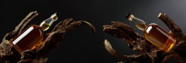 Eski bir pürüzün üstünde viski şişeleri. Ürün markalaşması, kimlik ve ambalaj için siyah arkaplan üzerine minimalist kompozisyon. Boşluğu kopyala.