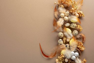 Paskalya kompozisyonu olarak bıldırcın yumurtaları, tüyler ve kurumuş çiçekler. Üst görünüm.