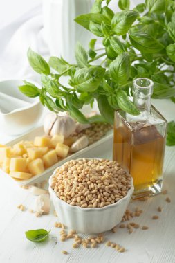 Pesto sosu yapmak için gerekenler: fesleğen, çam fıstığı, sarımsak, parmesan ve ahşap zemin üzerinde zeytin yağı. Geleneksel İtalyan pesto tarifi.