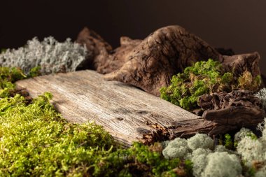 Yosun, yosun ve kuru pürüzlerden oluşan soyut bir kuzey doğası sahnesi. Ürününü eski ahşap bir podyuma yerleştir. Boşluğu kopyala.