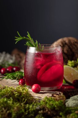 Eski ahşap bir tahtada buzlu, limonlu ve biberiyeli kızılcık kokteyli. Kuzey doğa arka planı pürüzler ve yosunlarla.