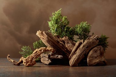 Bej arka planda böğürtlenli eski, kuru kaplar ve ardıç dalları. Kozmetik ve güzellik ürünleri markalaşma, kimlik ve paketleme için doğal bir zemin. Boşluğu kopyala.