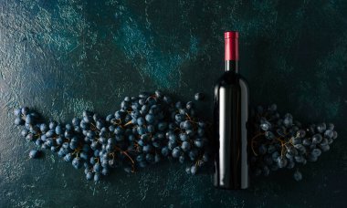 Mavi bir arka planda bir şişe kırmızı şarap ve üzüm. Boşluğu kopyala.