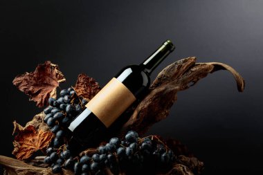 Bir şişe kırmızı şarap ve üzerinde eski bir etiket var. Kırmızı şarap, üzüm ve siyah arka planda engeller. Boşluğu kopyala.