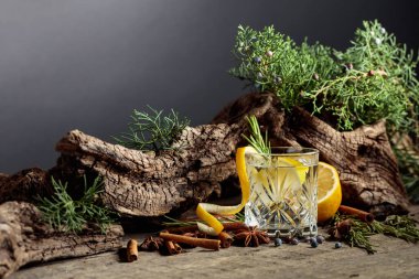 Limon, tarçın, anason ve ardıç meyveli kokteyl cin toniği. Arka planda eski engeller ve ardıç dalları.