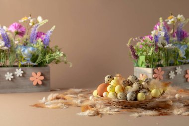 Yumurtalı paskalya kompozisyonu, narin tüyler ve bej arka planda bahar çiçekleri. Baharın hafifliği ve tazeliği. Metin veya logo için boş alan.