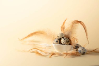 Sarı arka planda bıldırcın yumurtası ve tüyleri. Boşluğu kopyala.