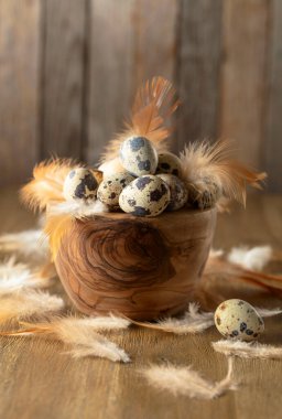 Eski ahşap bir masada bıldırcın yumurtası ve tüyleri..