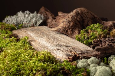 Yosun, yosun ve kuru pürüzler içeren soyut kuzey doğası sahnesi. Ürününüzü eski ahşap bir podyuma koyun. Boşluğu kopyala.