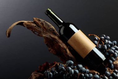 Bir şişe kırmızı şarap ve üzerinde eski bir etiket var. Kırmızı şarap, üzüm ve siyah arka planda engeller. Boşluğu kopyala.