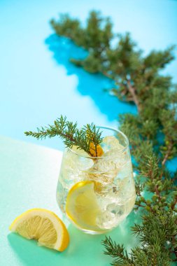 Ezilmiş buz ve limon dilimli cin tonik kokteyli. Yeşil-mavi arka planda ardıç dalları ile yaz ferahlatıcı içecek. Boşluğu kopyala.