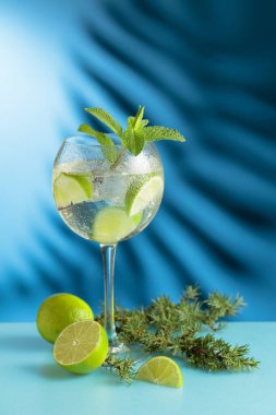 Buzlu ve limonlu cin tonik. Palmiye yaprağının gölgesi ile mavi arka plan. Boşluğu kopyala.