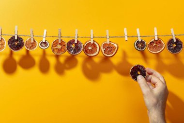 Portakal, limon ve limon dilimleri bir çizgi üzerinde kurutulur. Parlak güneş ışığı ve turuncu arka planda gölgeler. Boşluğu kopyala.