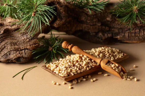 Çam fıstığı soyulmuş, sedir ağacı kurumuş ve yeşil dalları var. Bej bir arka planda ahşap tabakta çam fıstığı.