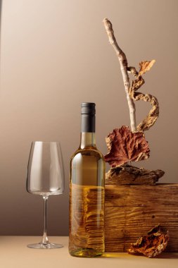 Bir şişe beyaz şarap, eski bir ahşap kompozisyonu, kuru pürüzler ve kurumuş asma yaprakları. Ürün markalaşması, kimlik ve ambalaj için tarafsız bej arka plan. Boşluğu kopyala, ön görünüm.