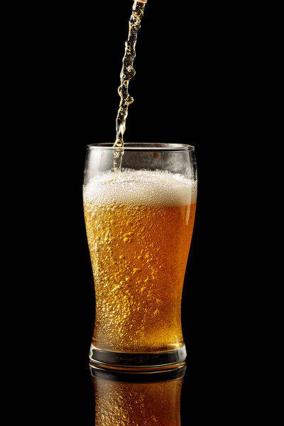 Pouring beer into a glass. Glass of beer on a black reflective background.