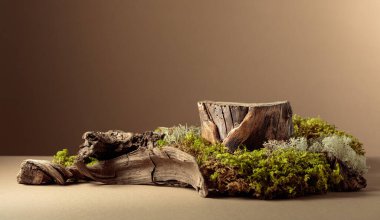 Doğal ahşap kaplamalı kompozisyon ve ekolojik ürünler için yosun. Ürününüzü bir kütüğe koyun. Kopyalama alanı olan bej arkaplan.