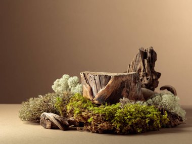 Doğal ahşap kaplamalı kompozisyon ve ekolojik ürünler için yosun. Ürününüzü bir kütüğe koyun. Kopyalama alanı olan bej arkaplan.