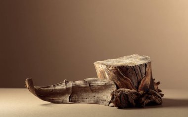 Doğal ahşap kaplamalı kompozisyon ve eko ürünlerin reklamları için kuru kütük. Kopya alanı olan bej arkaplan. Ürününüzü bir kütüğe yerleştirin.