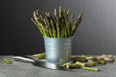 Gri arka planda küçük kovada taze kuşkonmaz. Boşluğu kopyala.