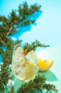 Ezilmiş buz ve limon dilimli cin tonik kokteyli. Yeşil-mavi arka planda ardıç dalları ile yaz ferahlatıcı içecek. Boşluğu kopyala.