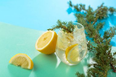 Ezilmiş buz ve limon dilimli cin tonik kokteyli. Yeşil-mavi arka planda ardıç dalları ile yaz ferahlatıcı içecek. Boşluğu kopyala.